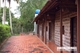 Picture of Can Tho homestay Tour Cai Rang Floating Market