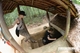 Picture of Cu Chi Tunnel tour by bus