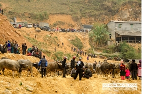 Picture of Bac Ha and Can Cau Market tour