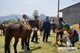 Picture of Bac Ha and Can Cau Market tour