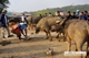 Picture of Bac Ha and Can Cau Market tour