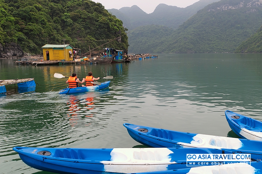 Picture of Alova Gold Cruises - stop running from Oct 1st, 2016