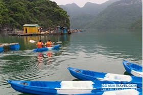 Picture of Alova Gold Cruises - stop running from Oct 1st, 2016