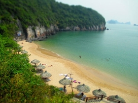 Things to do in Cat Ba Island