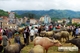 Picture of North Vietnam Adventure 12 days