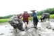 Picture of Jacktranecotours - RICE PLANTING & FISHING