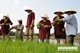 Picture of Jacktranecotours - RICE PLANTING & FISHING