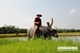 Picture of Jacktranecotours - RICE PLANTING & FISHING
