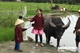 Picture of Jacktranecotours - RICE PLANTING & FISHING