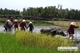 Picture of Jacktranecotours - RICE PLANTING & FISHING