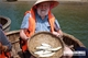 Picture of Jacktranecotours - RICE PLANTING & FISHING
