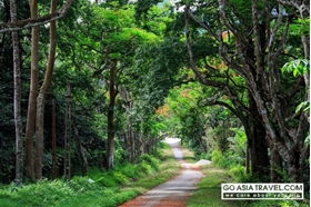 The Most Famous National Parks of Vietnam