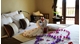 Picture of Essence Hoi An Hotel & Spa