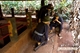 Picture of Long Tan Nui Dat battlefield Tour - Private 1 day tour