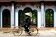 Picture of Trang An Bai Dinh 1 day group tour