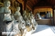 Picture of Trang An Bai Dinh 1 day group tour