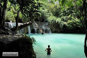 Picture of Luang Prabang - Kuang Si Waterfalls Half Day
