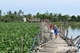 Picture of Hoi An My Son and boat trip to villages - Group Tour