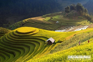Picture of Hanoi - Nghia Lo - Tu Le - Mu Cang Chai 3 days 2 nights