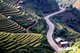 Picture of Hanoi - Nghia Lo - Tu Le - Mu Cang Chai 3 days 2 nights