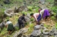 Picture of Charity Tour in Remote Ha Giang Province