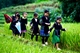Picture of 12 day adventure North to South Vietnam