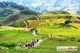 Picture of Luxury Cruises Halong Bay & Sapa - Free 1 night Hotel