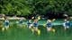 Picture of Standard Cruises Halong Bay & Trang An Bai Dinh - Free 1 night Hotel