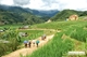 Picture of Standard Cruises Halong Bay & Sapa - Free 1 night Hotel(3 Days)