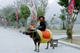 Picture of We Go Halong Bay & Hoa Lu Tam Coc - Free 1 night Hotel