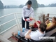 Picture of Standard Cruises Halong Bay & Sapa - Free 1 night Hotel(5 Days)