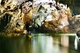 Picture of 10 Days Vietnam Natural Sites Package