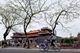 Picture of 10 Days Vietnam Natural Sites Package