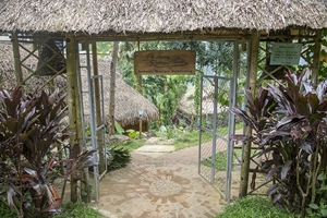 Picture of 2 DAYS 1 NIGHTS ADVENTURE TRIP WITH PULUONG RETREAT
