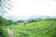 Picture of 2 DAYS 1 NIGHTS ADVENTURE TRIP WITH PULUONG RETREAT