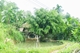 Picture of 2 DAYS 1 NIGHTS ADVENTURE TRIP WITH PULUONG RETREAT