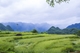 Picture of 2 DAYS 1 NIGHTS ADVENTURE TRIP WITH PULUONG RETREAT