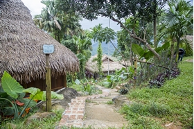 Picture of 3 DAYS 2 NIGHTS ADVENTURE TRIP WITH PULUONG RETREAT