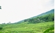 Picture of 3 DAYS 2 NIGHTS ADVENTURE TRIP WITH PULUONG RETREAT