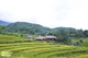 Picture of 3 DAYS 2 NIGHTS ADVENTURE TRIP WITH PULUONG RETREAT