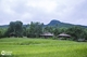 Picture of 3 DAYS 2 NIGHTS ADVENTURE TRIP WITH PULUONG RETREAT